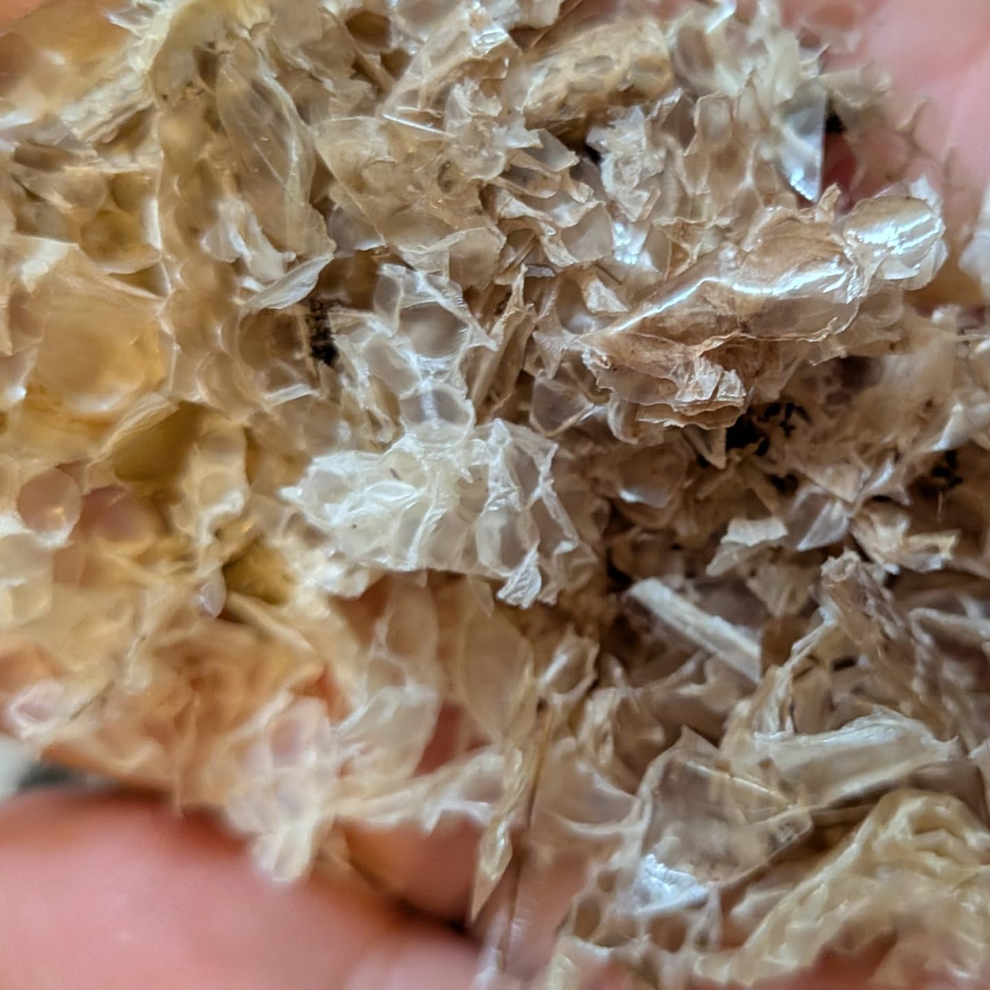 Blended Snake Skin