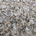 Crushed Oyster Shells