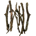 White Rot Oak Branches 100g