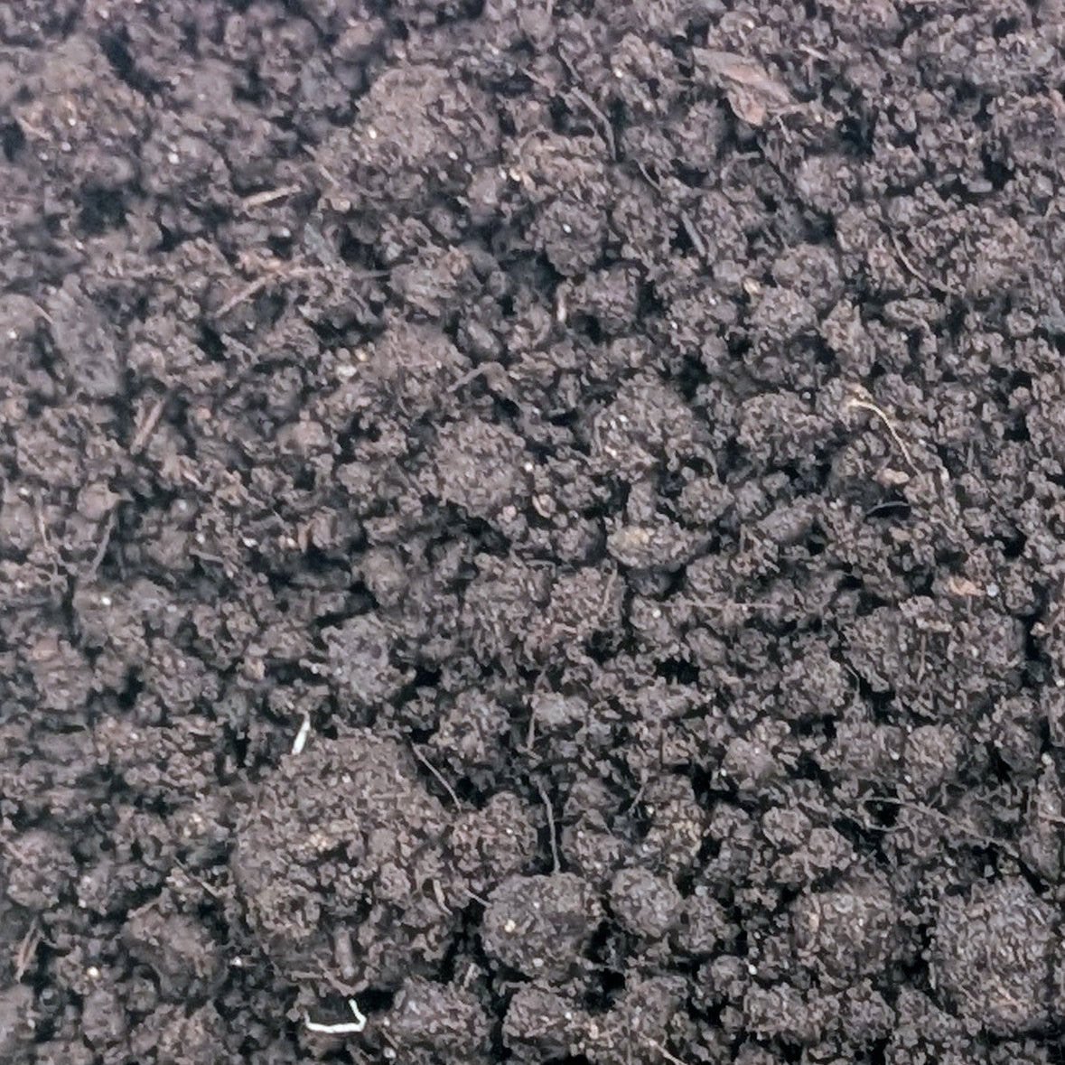 Worm Castings