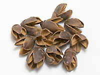 Bakuli Pods