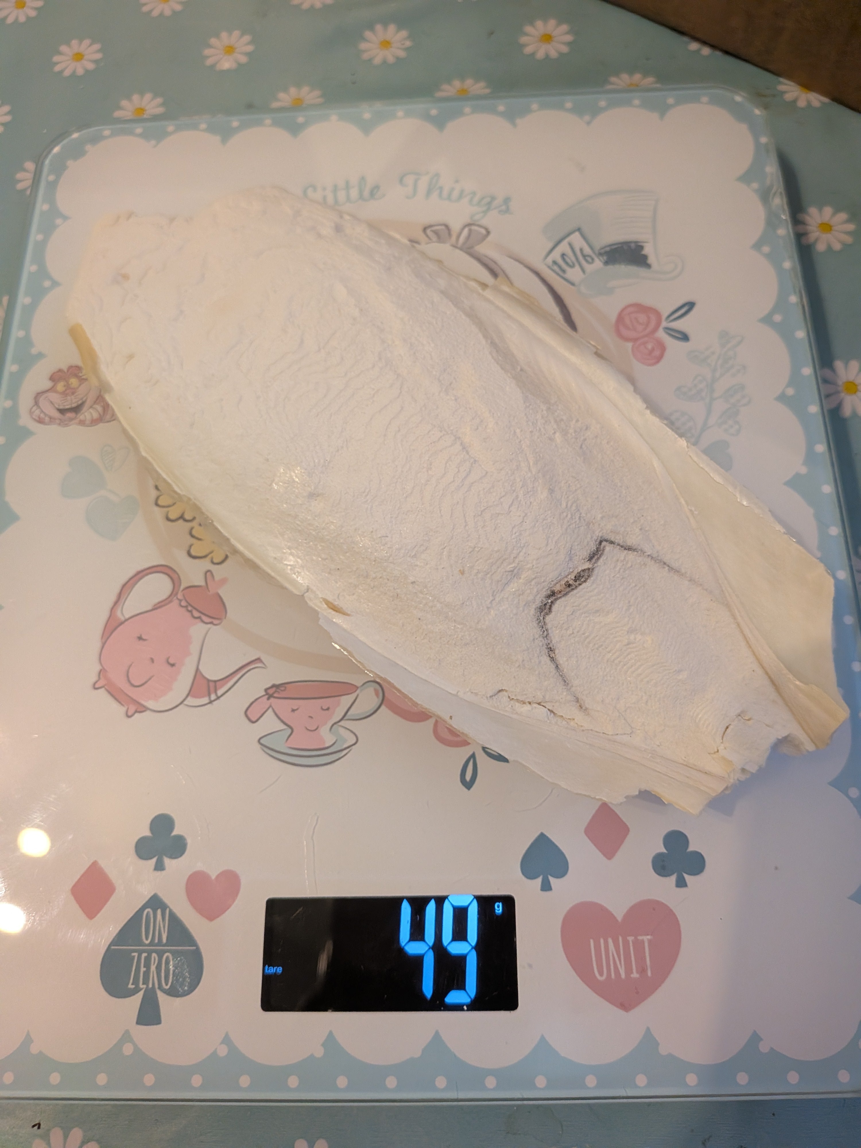 Cuttlefish Bone Approx 50g